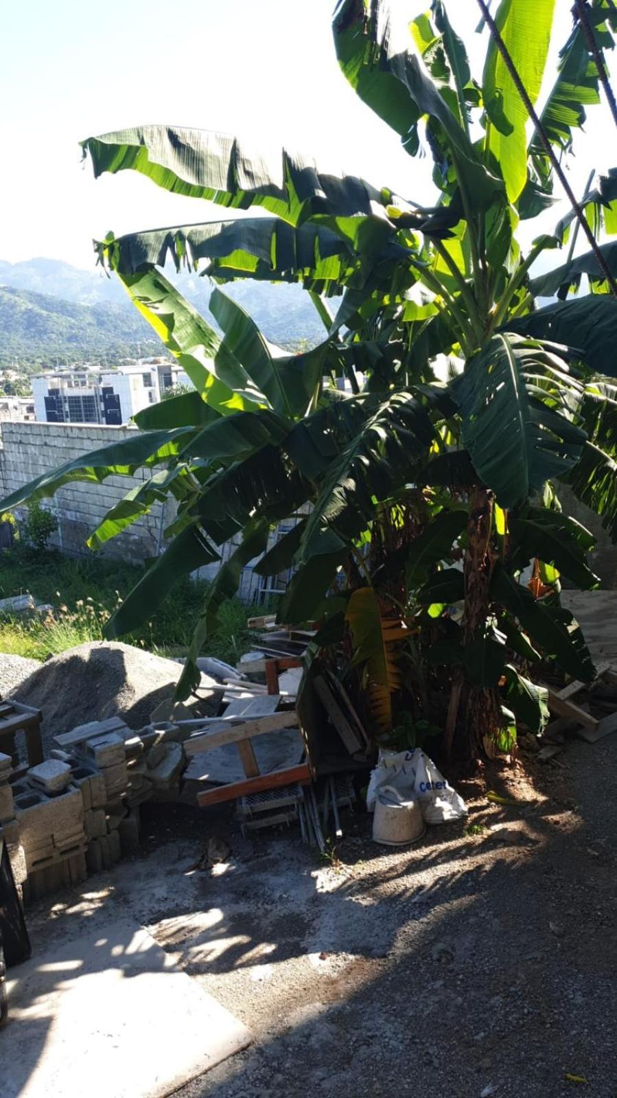 Amharic Hotel Kingston Luaran gambar